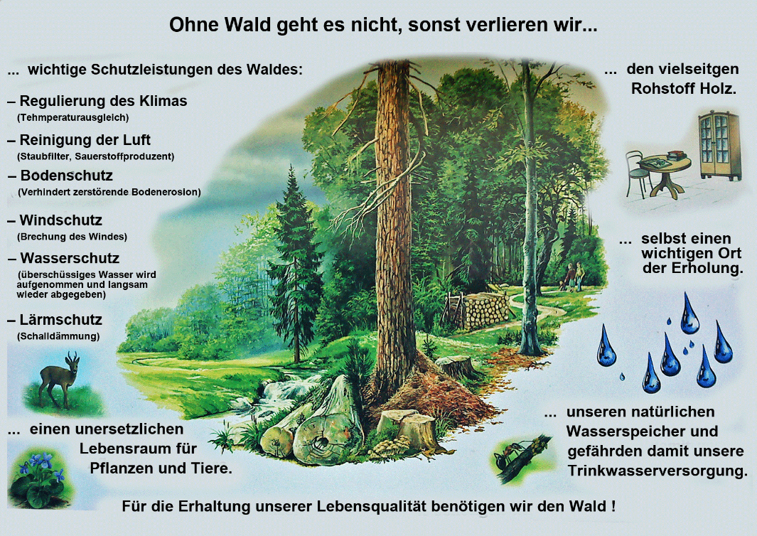 ohne wald