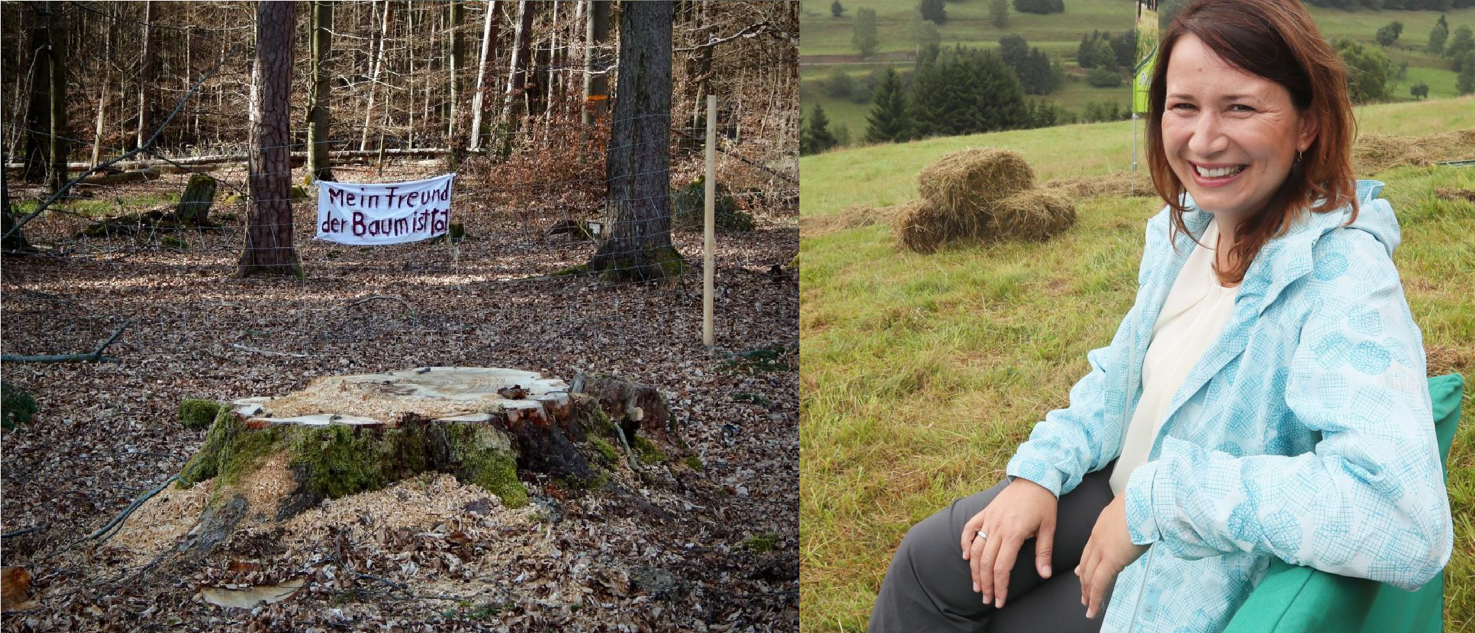 Schmerz­li­che Einsicht – völlig schmerzfrei